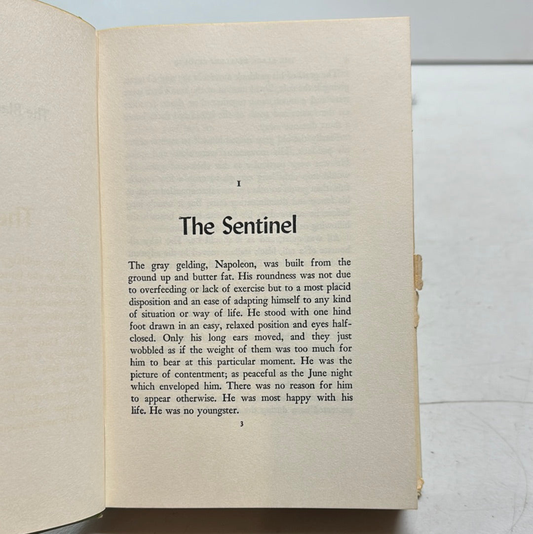 1953 The Black Stallion Revolts Walter Farley