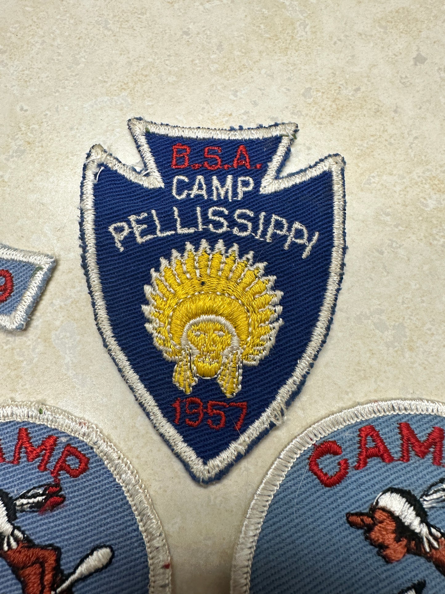 Lot of Camp Pellissippi Camp Patches - Tennessee