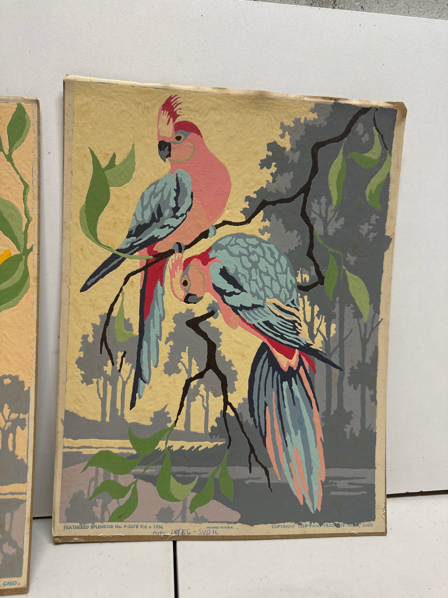 1950's Bird Paint by Number lot of 2 "Feathered Spendor"