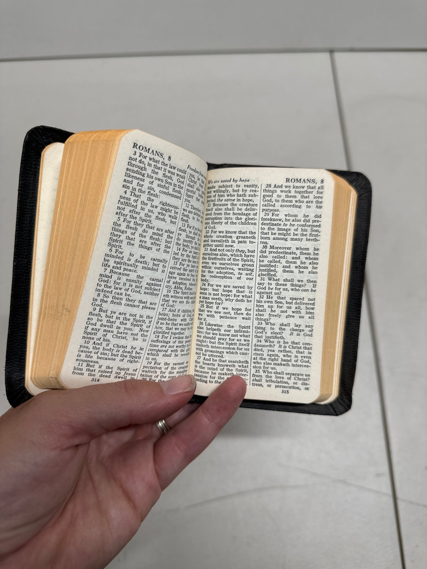 Gideons New Testament Psalms Proverbs