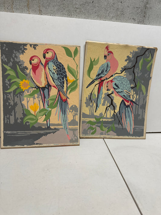 1950's Bird Paint by Number lot of 2 "Feathered Spendor"